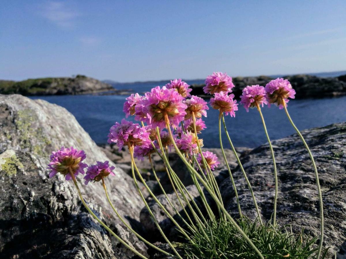 Kuvagen 23 Villa Vågenes Eksteriør bilde