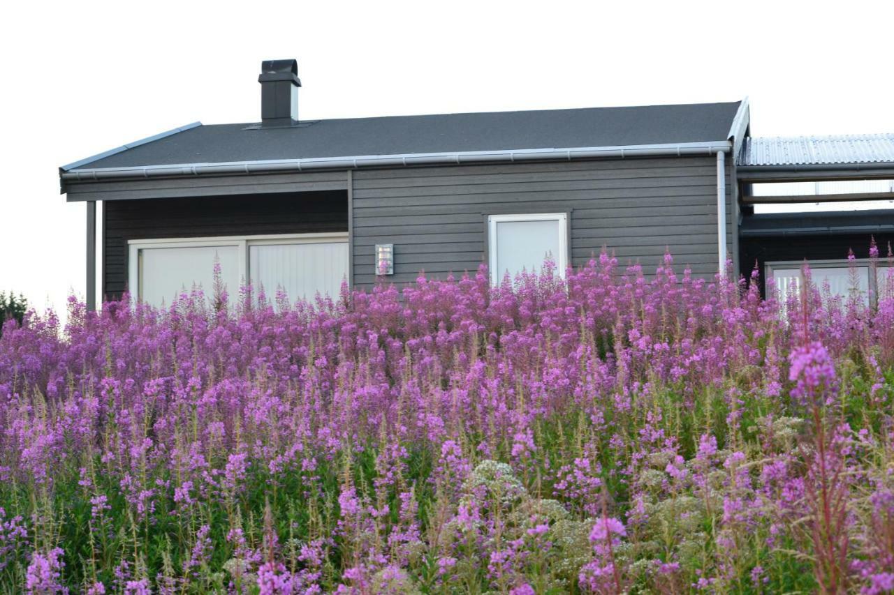 Kuvagen 23 Villa Vågenes Eksteriør bilde