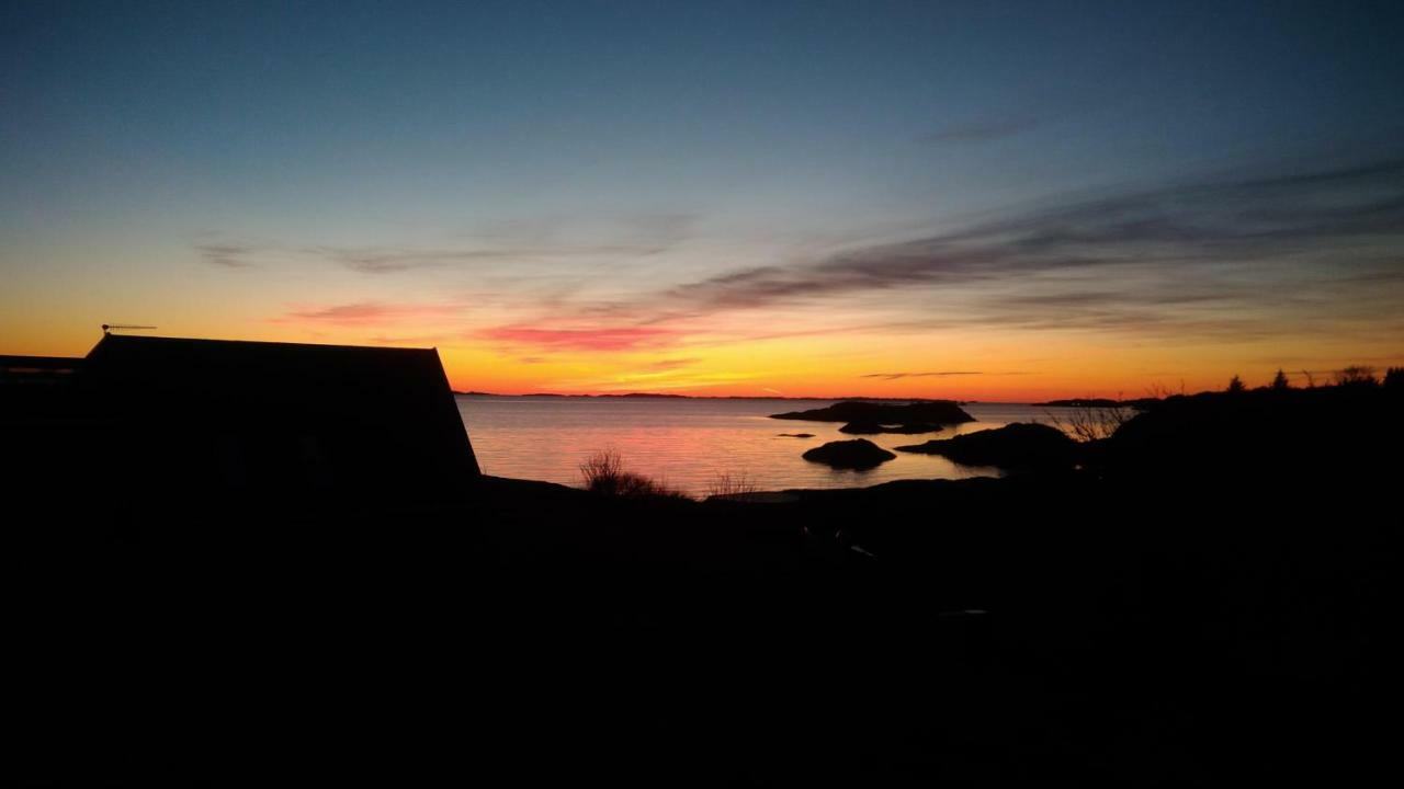Kuvagen 23 Villa Vågenes Eksteriør bilde