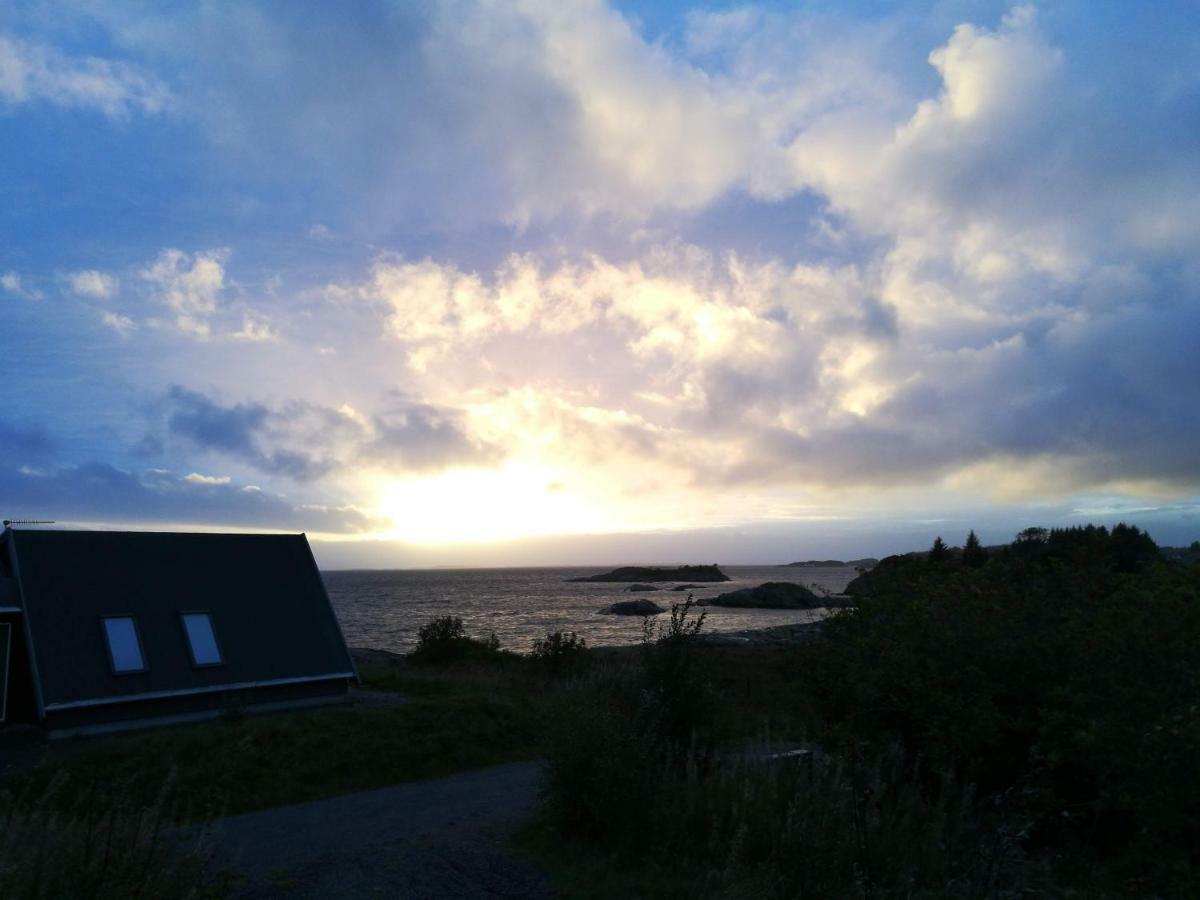 Kuvagen 23 Villa Vågenes Eksteriør bilde